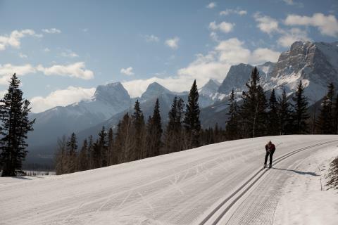 canmore inn & suites canmore nordic centre